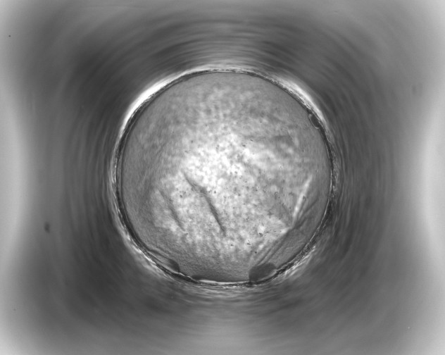 X0000084530952200703161606