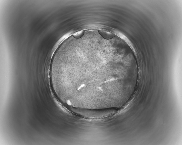 X0000084530954200703161606