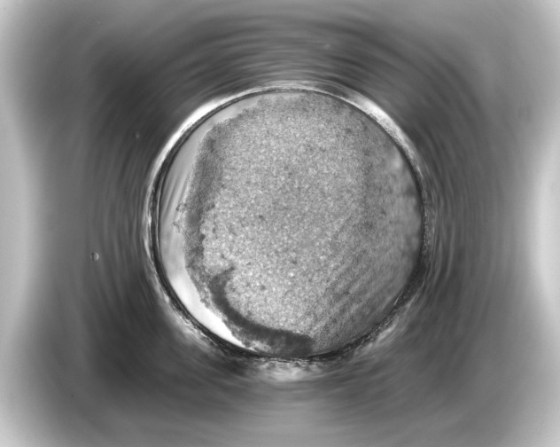 X0000084530955200703161606