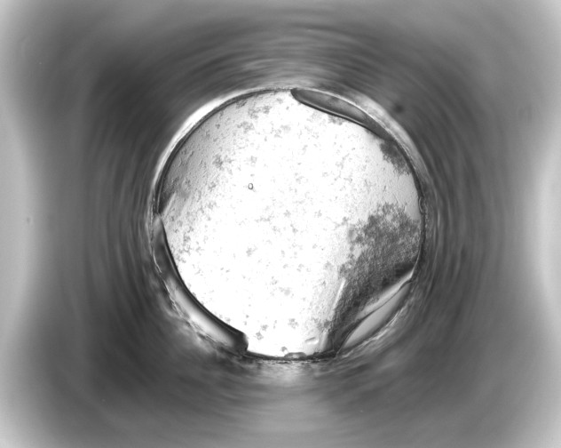 X0000084530956200703161606