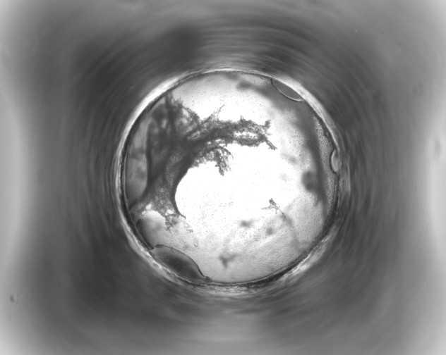 X0000084530957200703161606