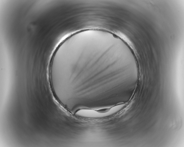 X0000084530958200703161606