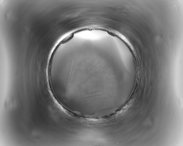 X0000084530959200703161606