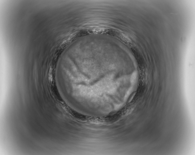 X0000084530962200703161605