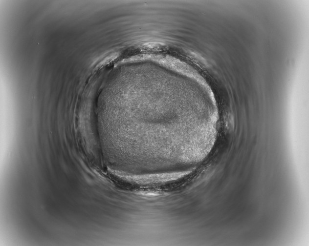 X0000084530964200703161605