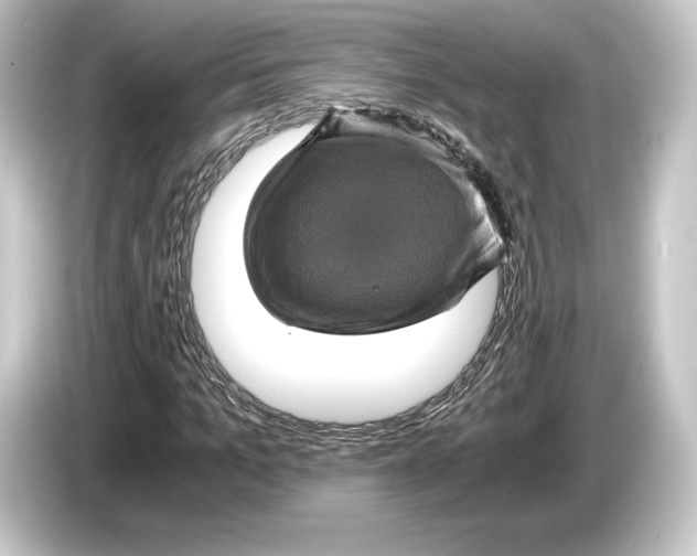 X0000084530965200703161605