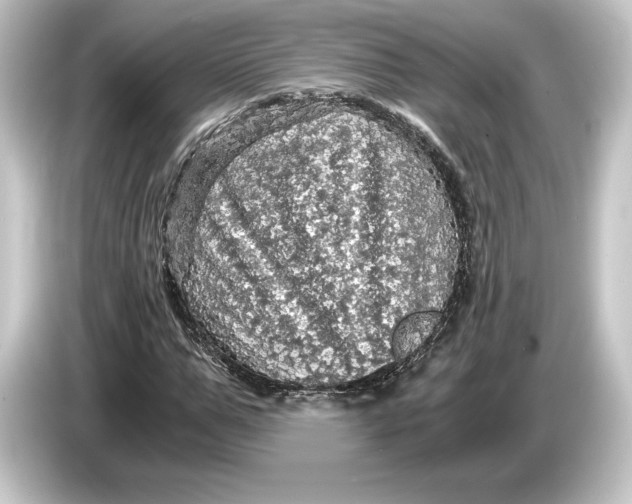 X0000084530967200703161605