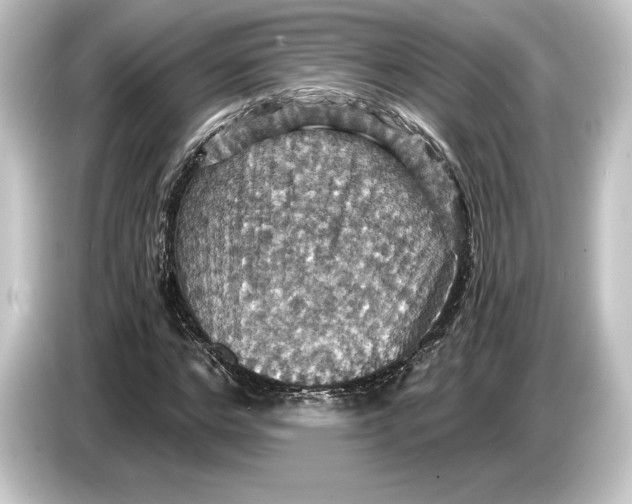 X0000084530968200703161605