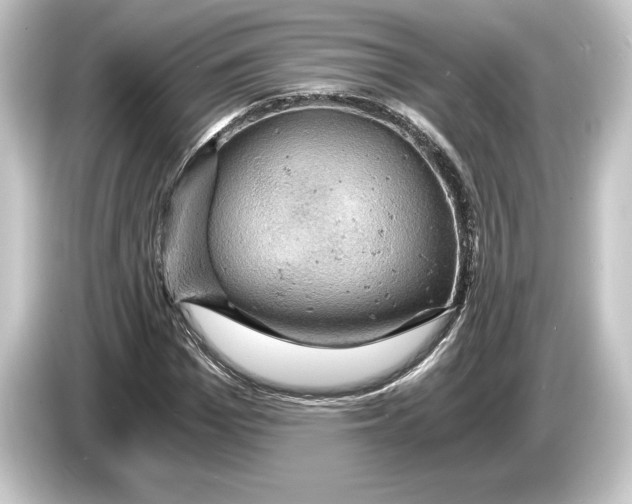 X0000084530969200703161605