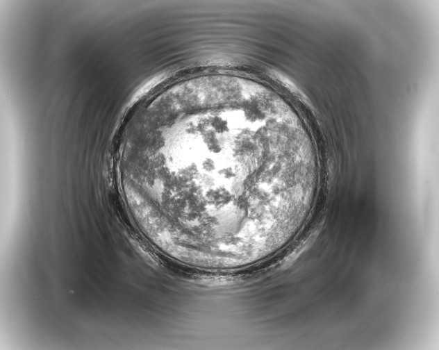 X0000084530970200703161605