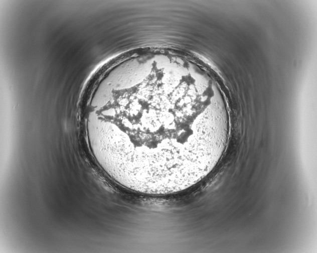 X0000084530971200703161605