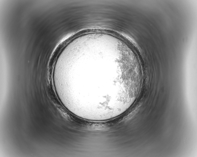 X0000084530974200703161605