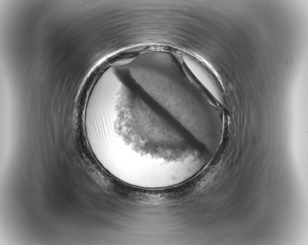 X0000084530975200703161605