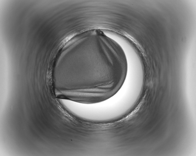 X0000084530977200703161605