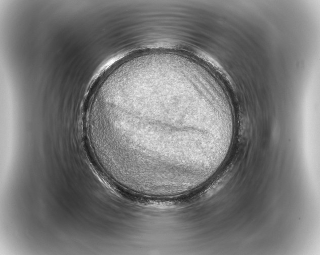 X0000084530978200703161605