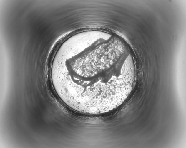 X0000084530979200703161605