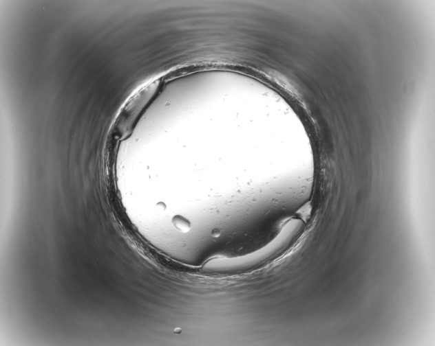 X0000084530981200703161605