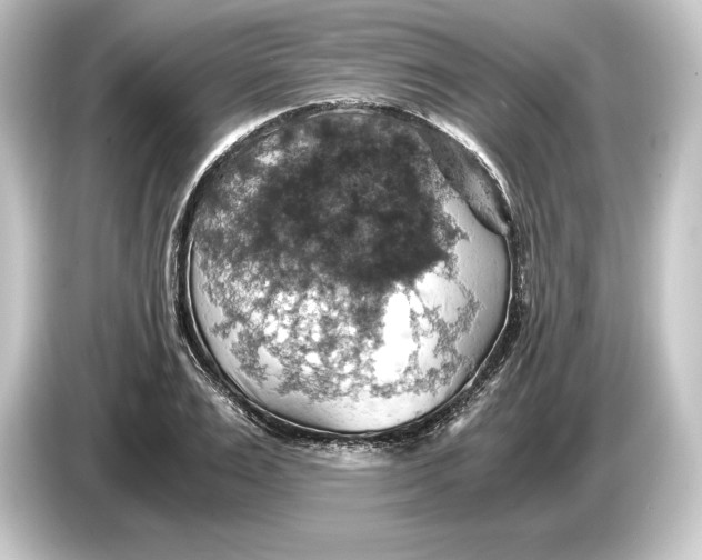 X0000084530983200703161605