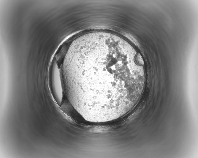 X0000084530984200703161605