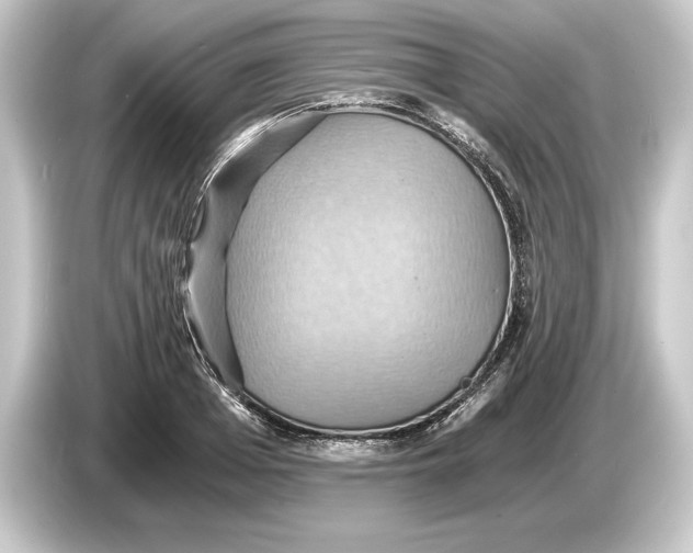 X0000084530985200703161605