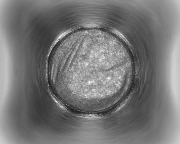 X0000084530986200703161605