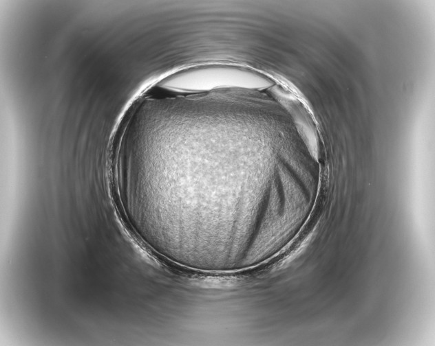 X0000084530989200703161605