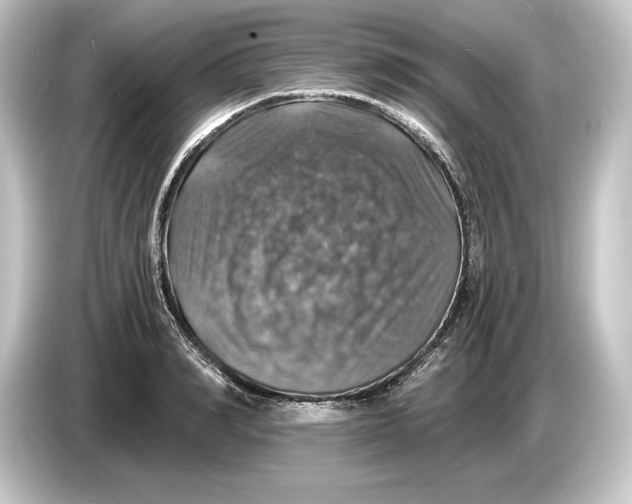 X0000084530990200703161605