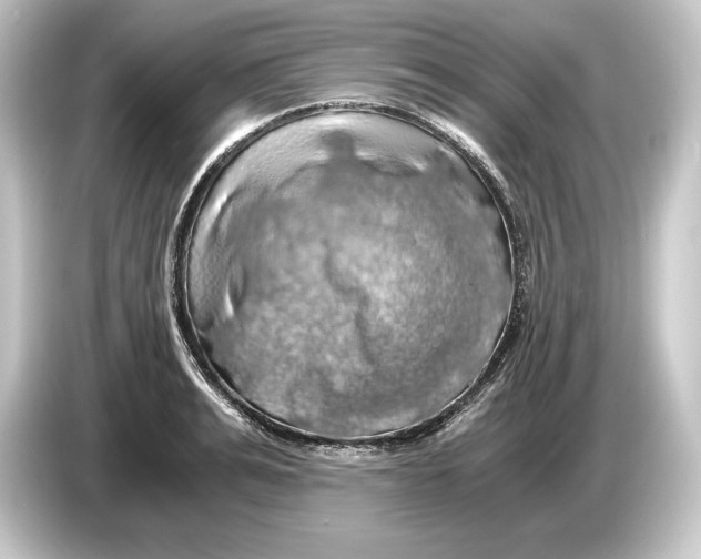 X0000084530991200703161605