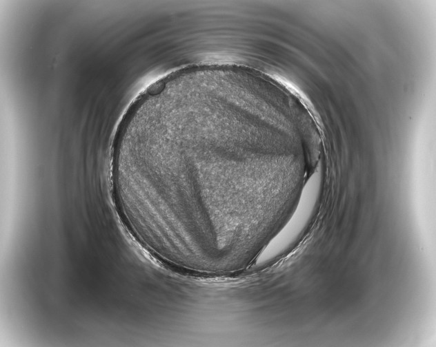 X0000084530992200703161605