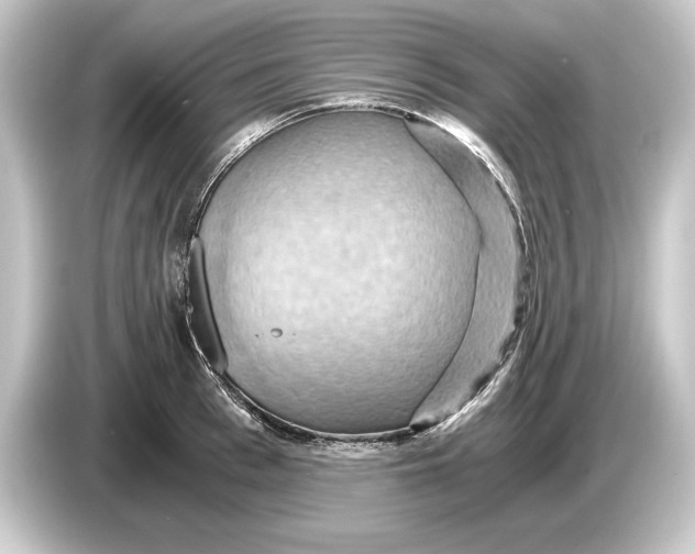 X0000084530993200703161605