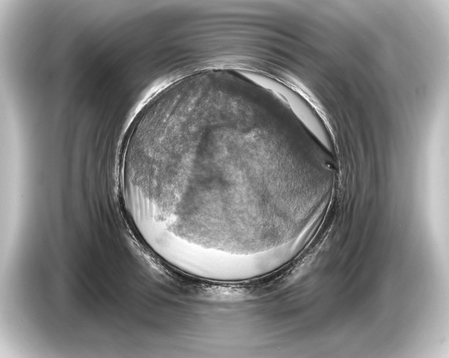 X0000084530994200703161605