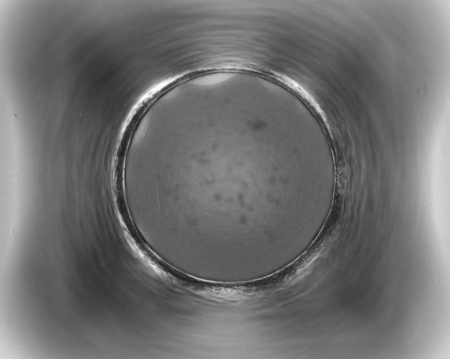 X0000084530995200703161605