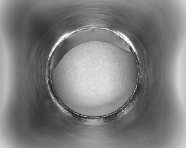 X0000084530997200703161605