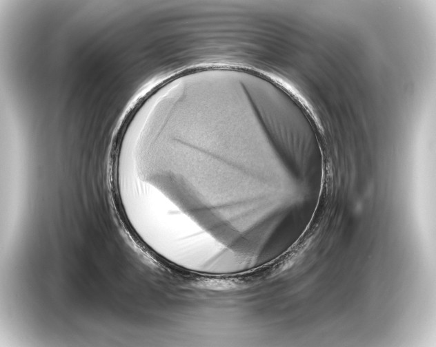 X0000084530998200703161604