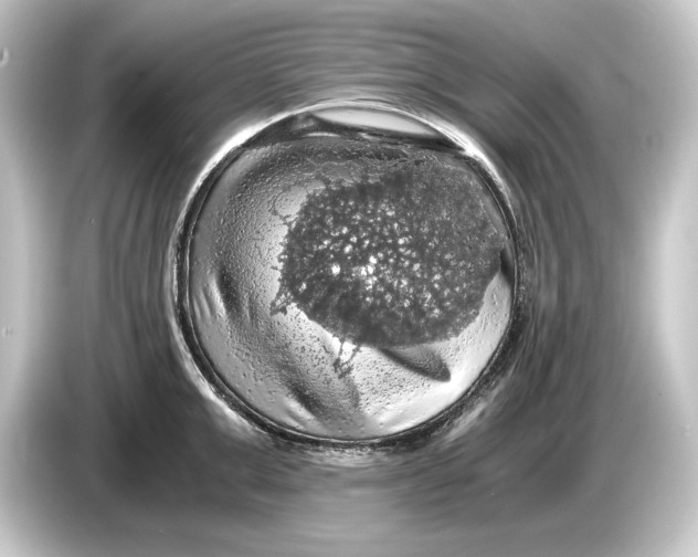 X0000084530999200703161604