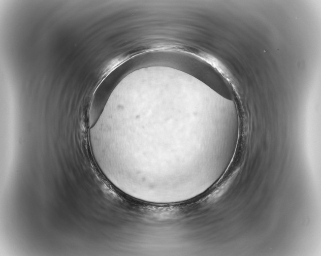 X0000084531001200703161604