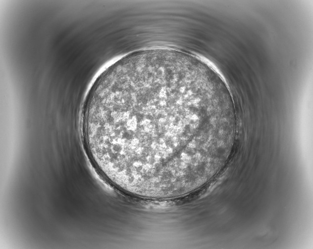 X0000084531003200703161604