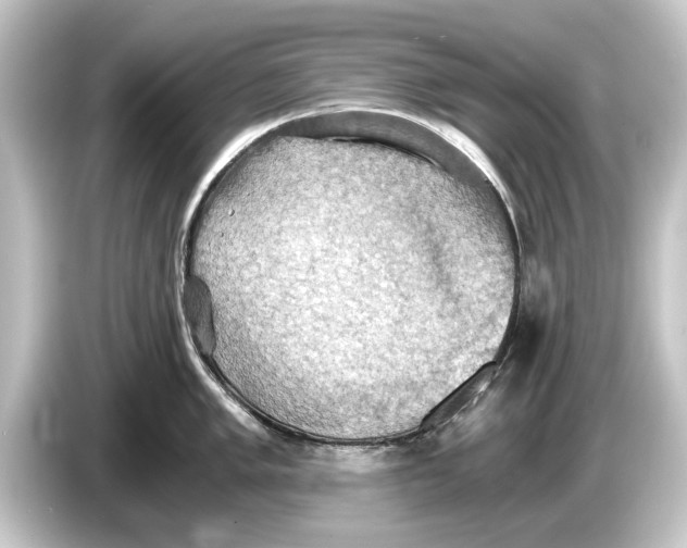 X0000084531005200703161604