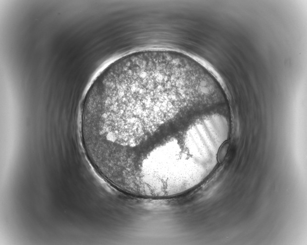 X0000084531006200703161604