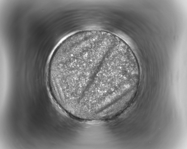 X0000084531008200703161604