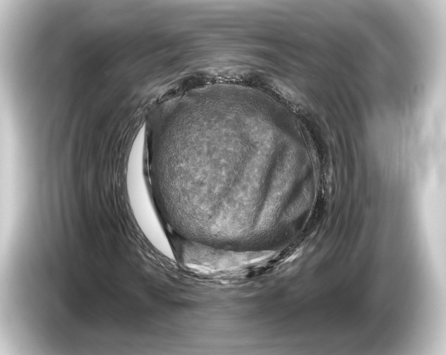 X0000084531010200703161604