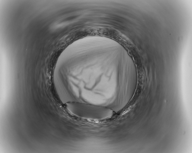 X0000084531013200703161604