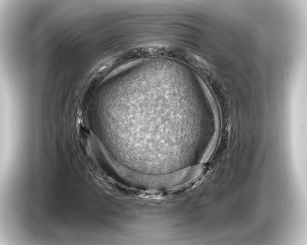 X0000084531014200703161604