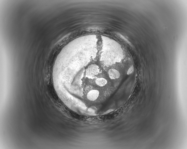 X0000084531015200703161604