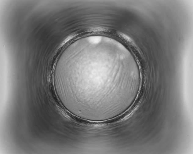 X0000084531017200703161604