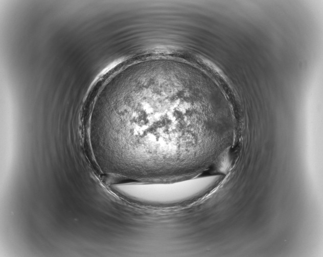 X0000084531018200703161604