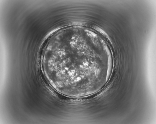 X0000084531019200703161604