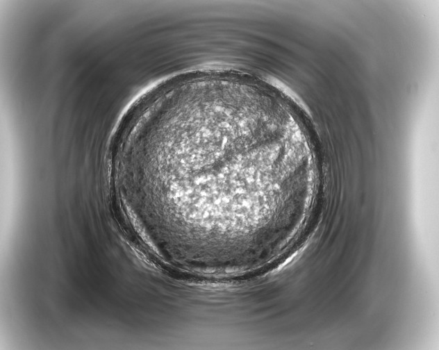 X0000084531021200703161604