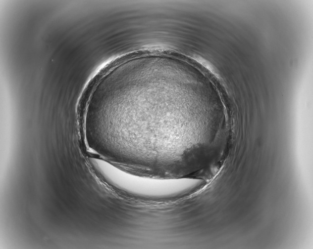 X0000084531022200703161604