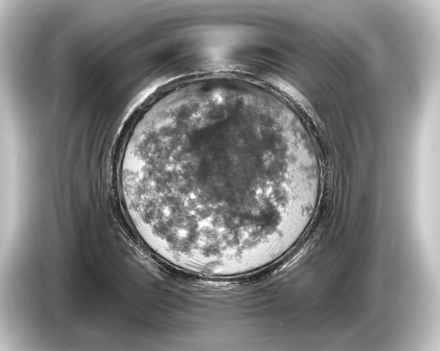 X0000084531023200703161604